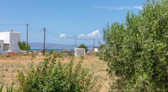 Студия Studio Tolakis