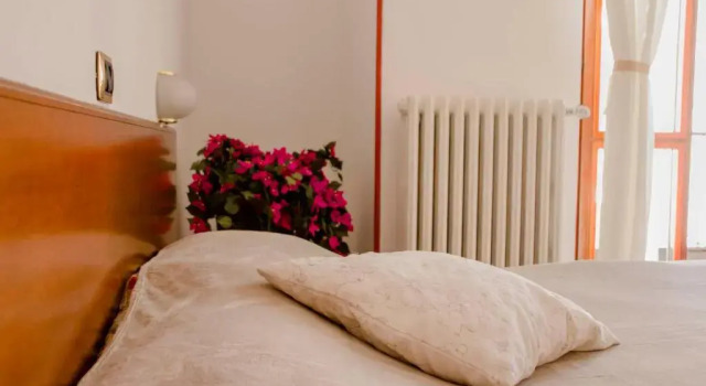 Standaard kamer Hotel Domus