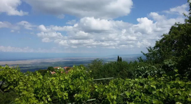 Guesthouse Kiko, Book Hotel Cheap Hotels in Kakheti
