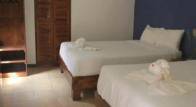 Номер Standard с видом на сад La Posada Jungle Hotel
