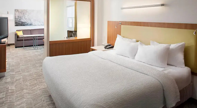 Двухместный люкс Springhill Suites by Marriott Savannah Downtown Historic District