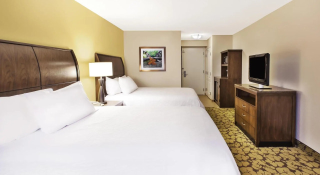 Четырёхместный номер Standard Hilton Garden Inn Cleveland Downtown