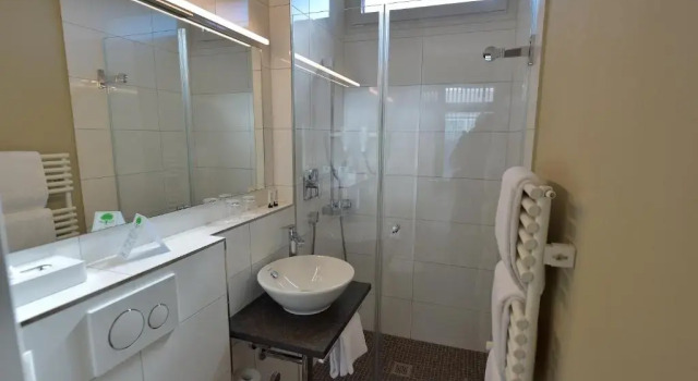 Одноместный номер Economy Hotel Sommerau