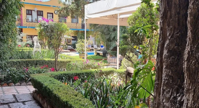 Номер Standard Hacienda de las Flores
