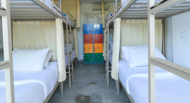 Кровать в общем номере Margarita Surf Hostel Canggu