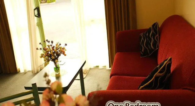 Апартаменты Birchwood Spa Motel
