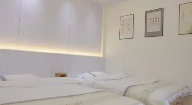 Люкс Deluxe Nanjing Tulou Yunxi Hostel (Yuchang Building)