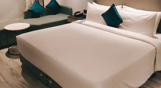 Номер Superior Park Inn by Radisson Surat