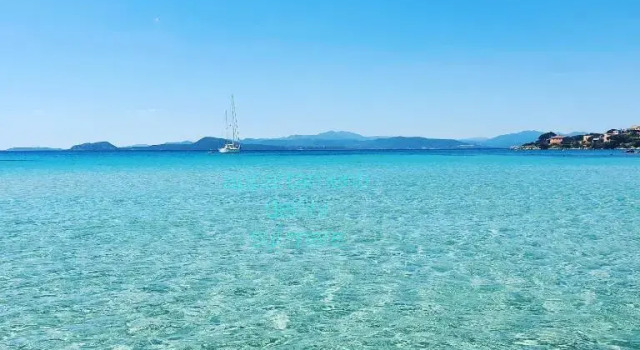 Appartamento delfini sul mare