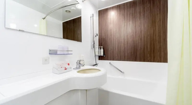 Двухместный номер Economy Kichijoji Tokyu REI Hotel