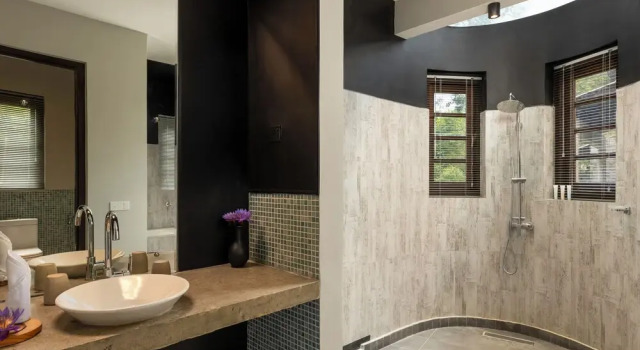 Люкс Ayugiri Ayurveda Wellness Resort