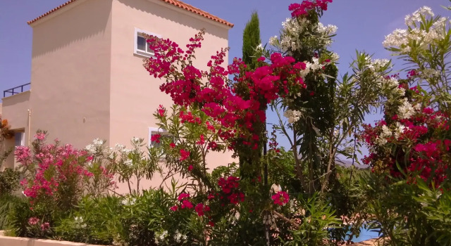Selini Suites, Забронировать Отель Отели Камисиана с бассейном, Бассейн