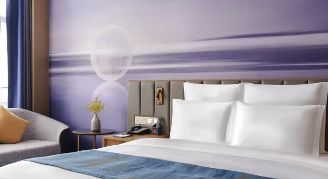 Двухместный номер Standard Novotel Changsha International Exhibition Center