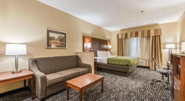 Двухместный люкс Quality Inn & Suites Hendersonville - Flat Rock