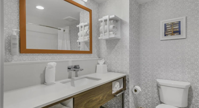 Standard Zimmer Hampton Inn & Suites By Hilton Decatur