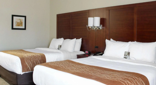 Четырёхместный номер Standard Comfort Inn & Suites Fultondale Gardendale I-65