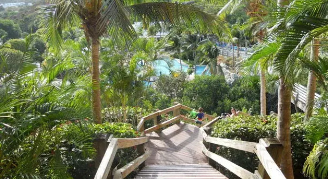 Sugar Bay Resort & Spa, Buchen Sie Resort St Thomas Saint Thomas