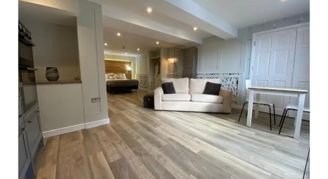 Двухместная студия Superior Harmony Apartments