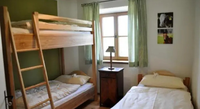 Apartment mit Bergblick Springerhof
