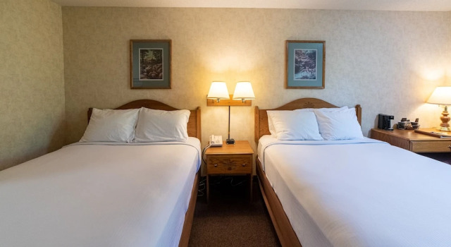 Четырёхместный номер Premium Willabees Motel
