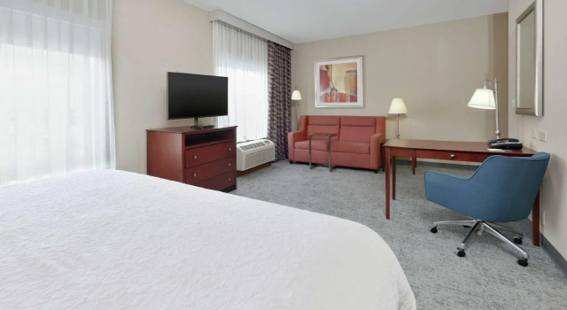 Двухместный номер Standard Hampton Inn & Suites Abilene I-20
