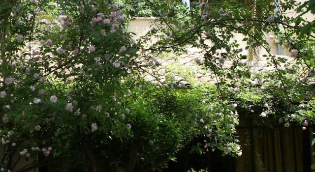 Superior cameră Jardins Secrets