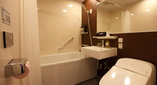Одноместный номер Standard HOTEL AMANEK Ginza East