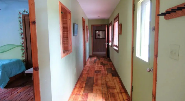 A Cat Named Vivian 3 Bedrooms 2 Bathrooms Home
