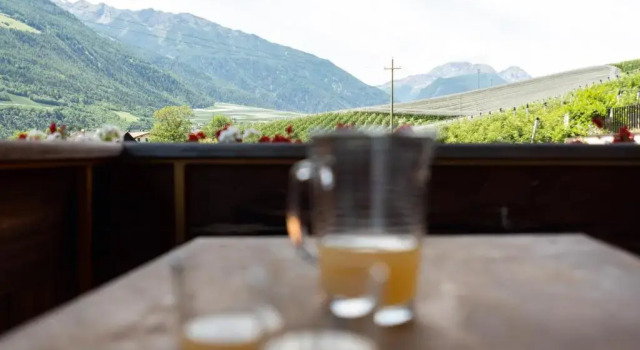 Апартаменты Pixnerhof - Urlaub am Biohof