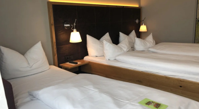Трёхместный номер Standard Hotel Linde