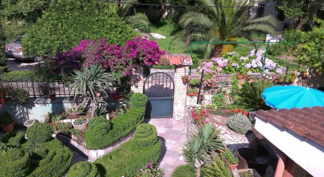 Apartment City Garden