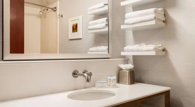 Люкс c 1 комнатой Hampton Inn & Suites Denver-Cherry Creek