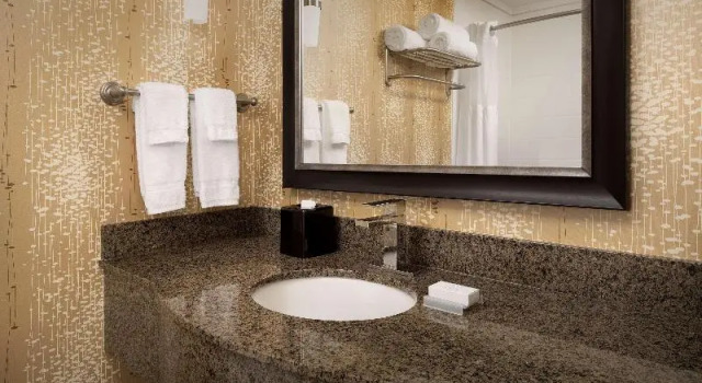 Номер Premium Hilton Garden Inn Charlotte/Mooresville