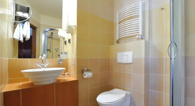 Двухместный номер Executive Hotel Diament Vacanza Katowice - Siemianowice