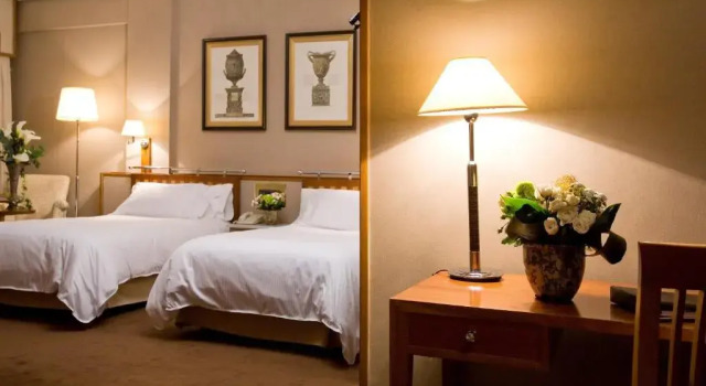 Полулюкс Hotel Palafox