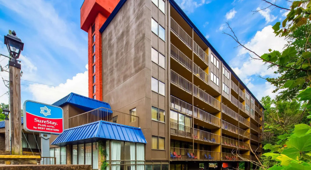 Кровать в общем номере SureStay Plus Hotel by Best Western Gatlinburg