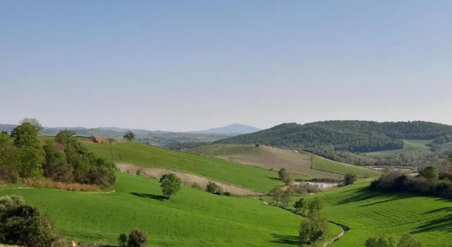 Номер Standard Agriturismo Uliveto Gretacci