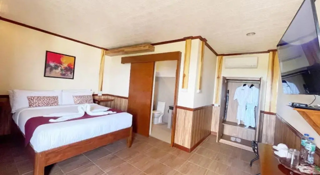 Standard Suite Verde View Villas