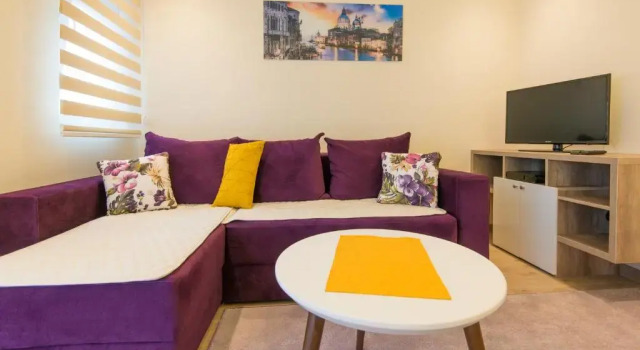 Апартаменты c 1 комнатой Branka Apartments