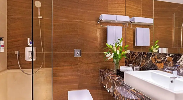Superior Zimmer mit Stadtblick Pullman Singapore Orchard