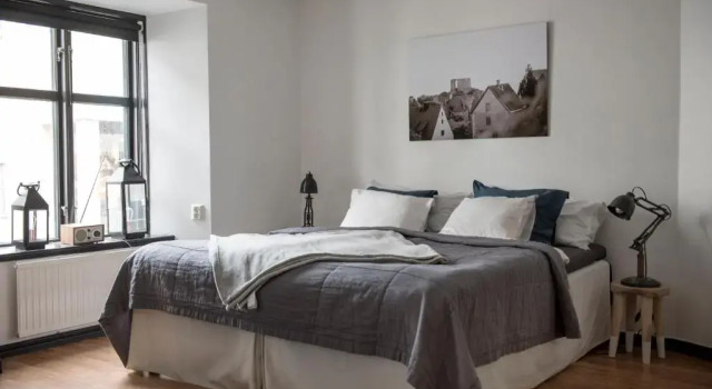 Студия Standard Hotell Repet