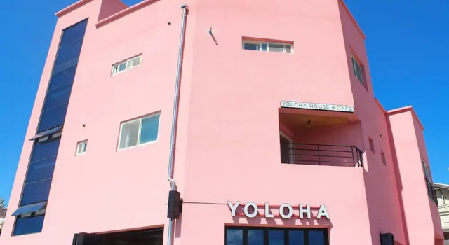 Yangyang Yoloha Surfhouse, Prenota Hotel Yangyang Gangwon-Do
