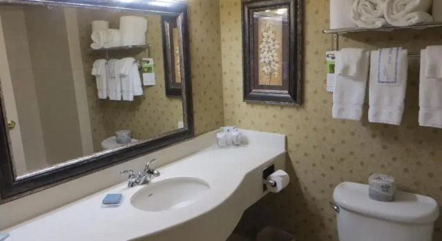 Номер Standard Wingate by Wyndham Peoria - Complimentary Area Shuttle