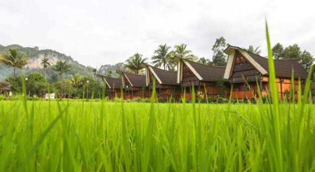 Одноместный люкс Toraja Misiliana Hotel