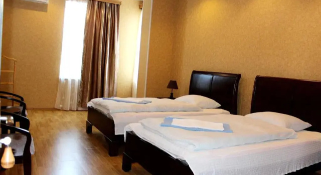 Двухместный номер Standard Argopalace
