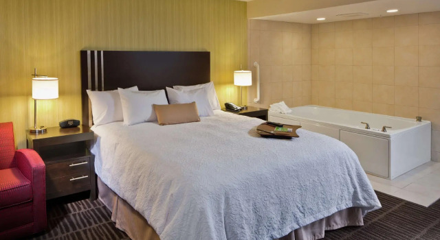 Двухместный номер Standard Hampton Inn & Suites Saginaw