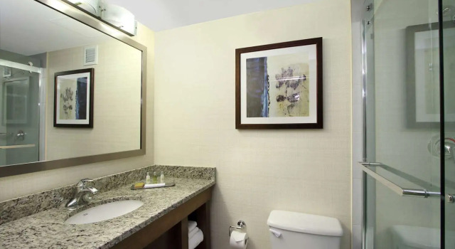 Двухместный полулюкс DoubleTree by Hilton Mahwah