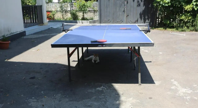 Talos Guest House, Book Guesthouse Makhinjauri 