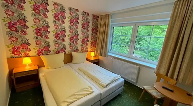 Двухместный номер Standard Waldhotel am Ilsestein