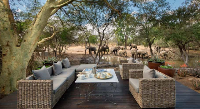 Ngala Private Game Reserve, Réserver Hôtel Ngala Afrique du Sud